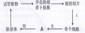 2016年11月26日广东省广州荔湾区教育局招聘考试《生物》考试真题答案解析第12张